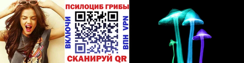 Псилоцибиновые грибы Magic Shrooms  Мензелинск 