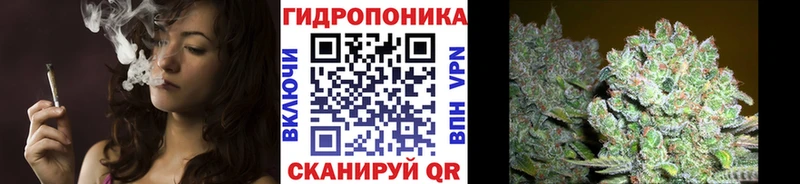Бошки Шишки семена Мензелинск
